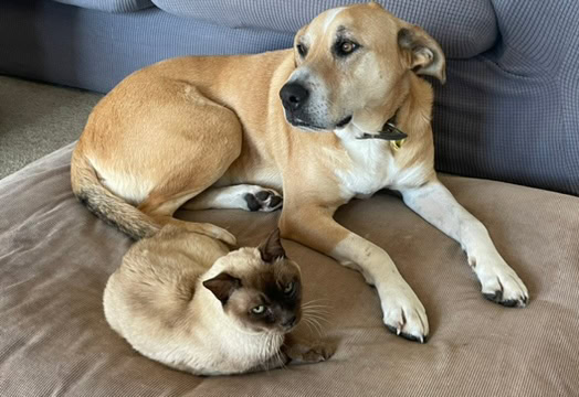 The boys