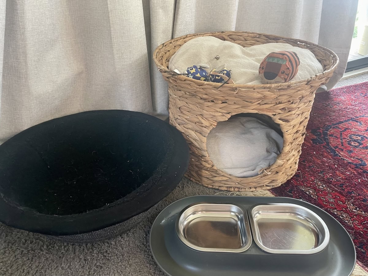 Baby Cat's bed, toys, and water bowl