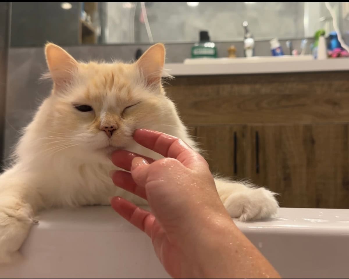 Blue leaning on the hot tub