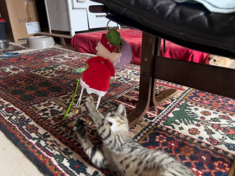 Minnie playing the bells