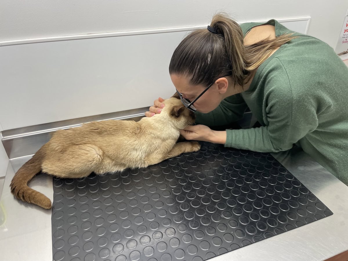 Nicole saying goodbye to Baby Cat