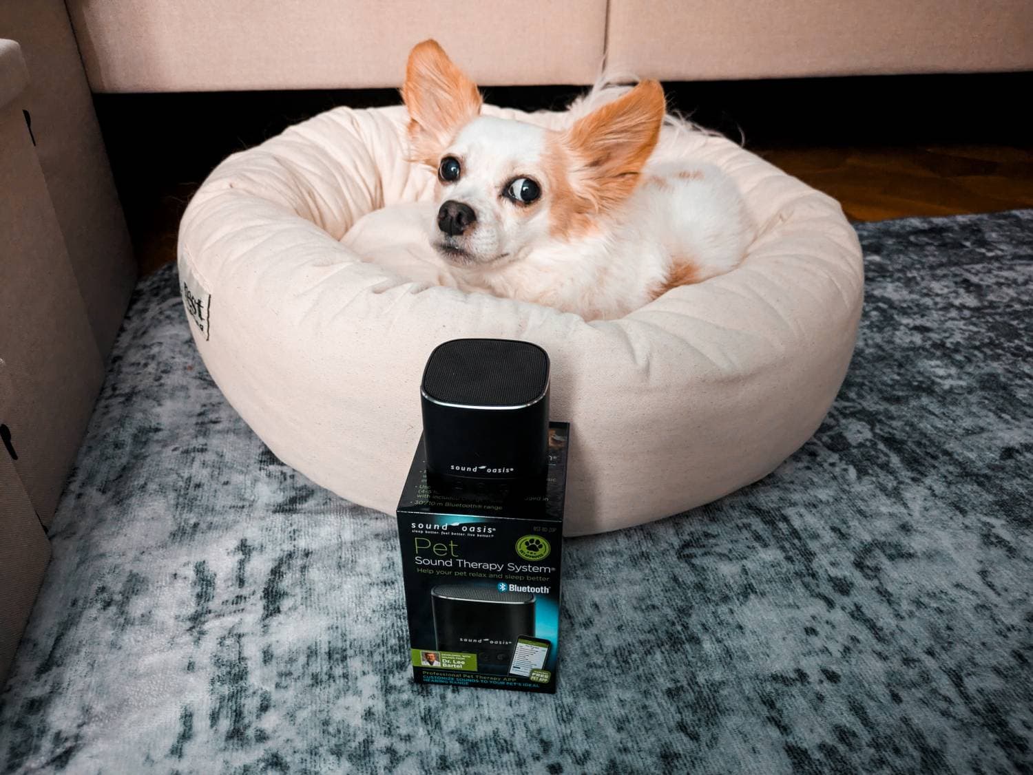 Sound Oasis Pet Sound Therapy System Review - dog with product