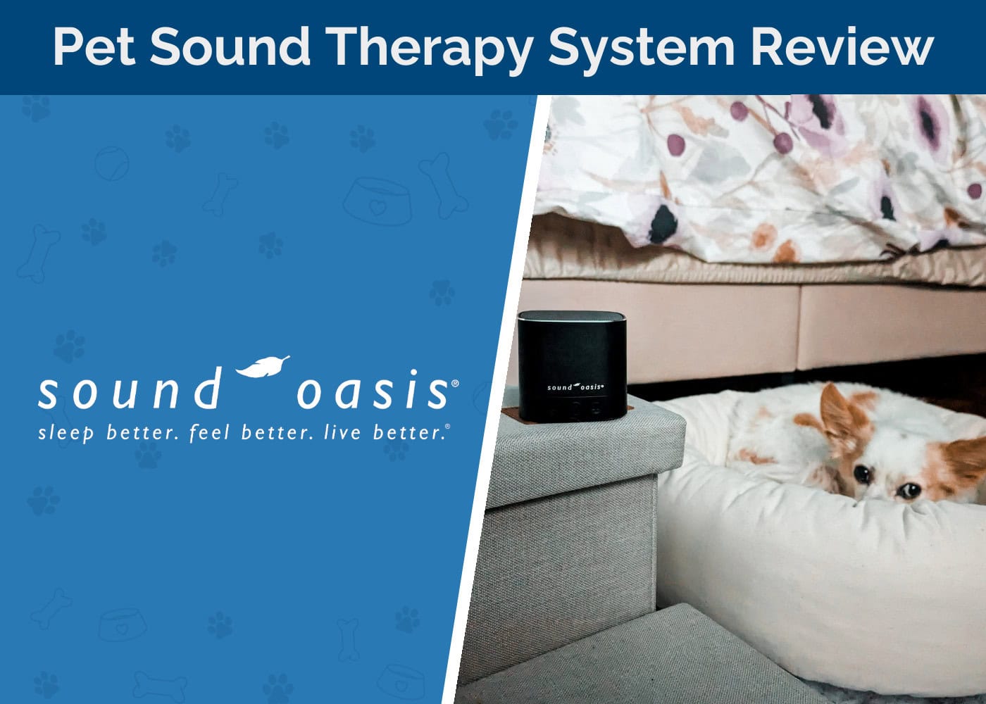 Sound Oasis Pet Sound Therapy System Review - featured image