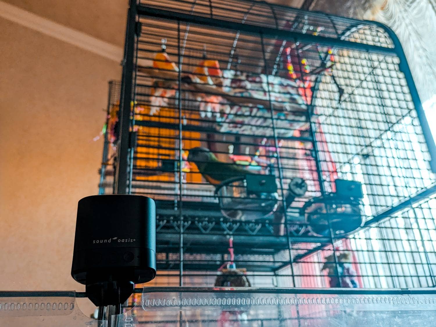 Sound Oasis Pet Sound Therapy System Review - product beside a bird cage