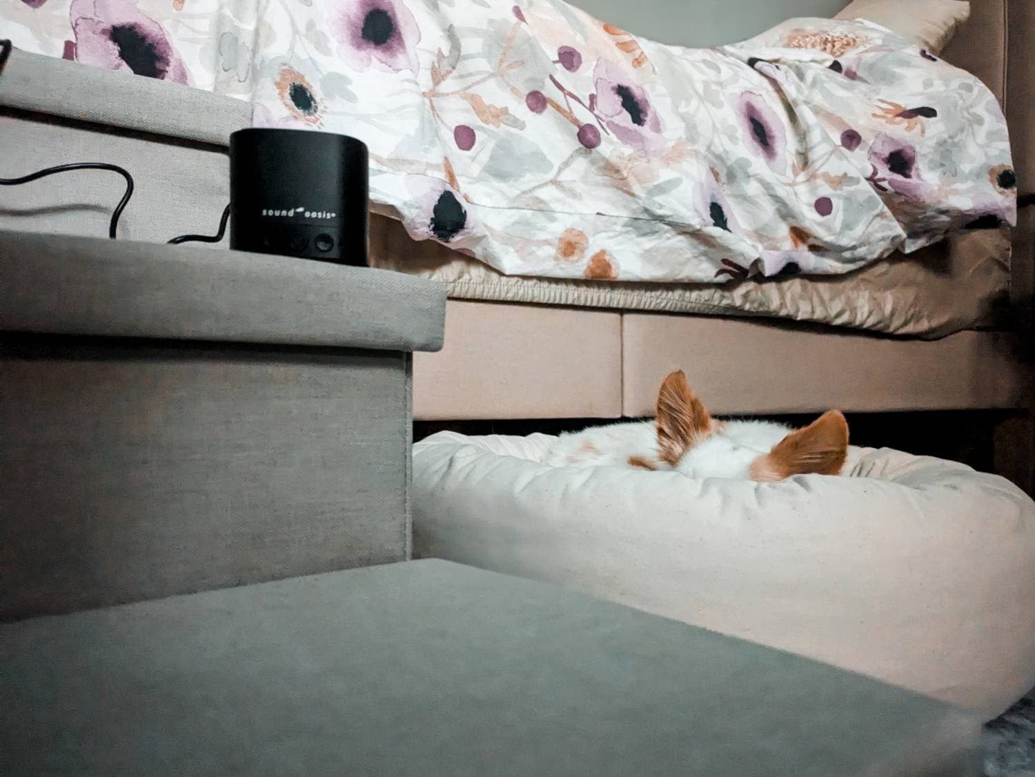 Sound Oasis Pet Sound Therapy System Review - product with dog sleeping on dog bed