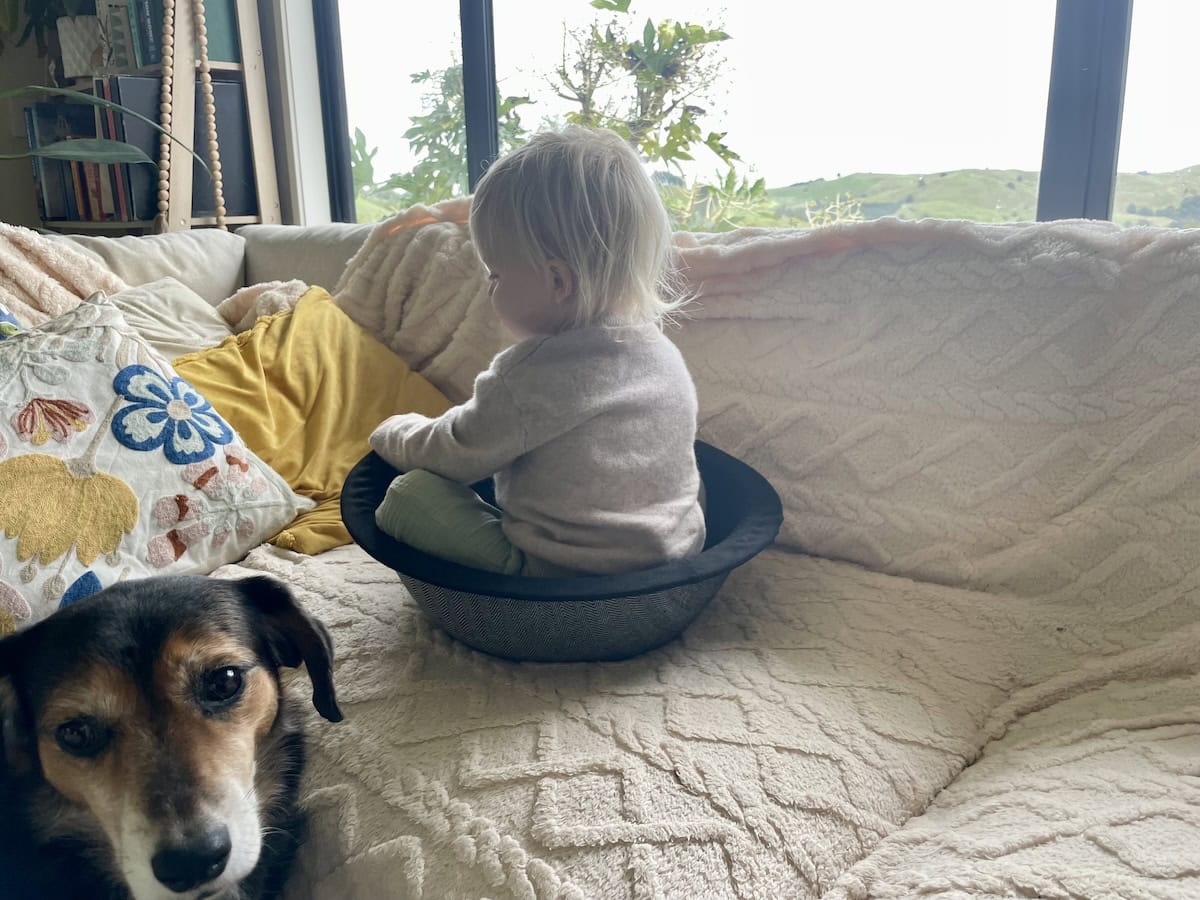 The right cat bed can easily be repurposed as a toddler toy.