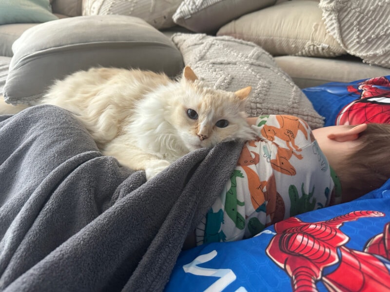 Blue snuggling with Amanda's kid