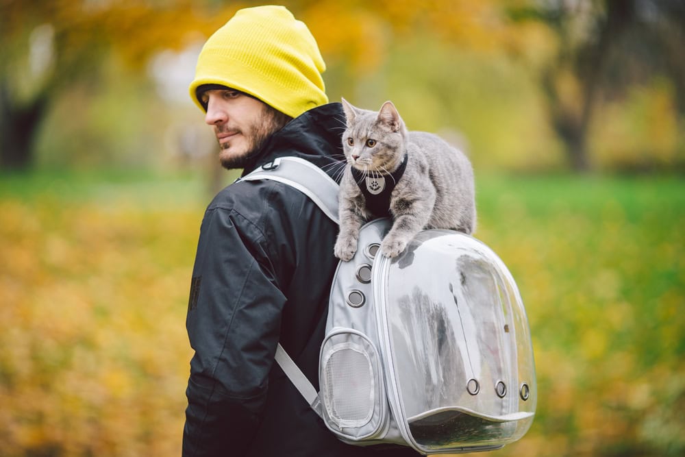 Cat Harness Bag Carrier