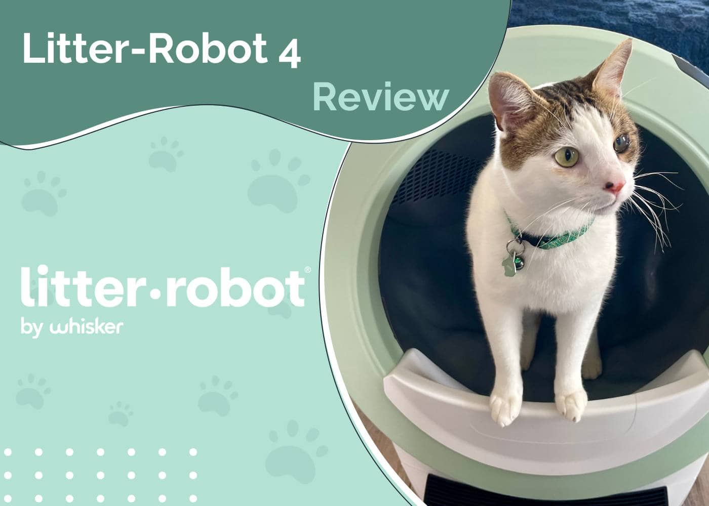 Litter-Robot 4 Review 2025 - featured image