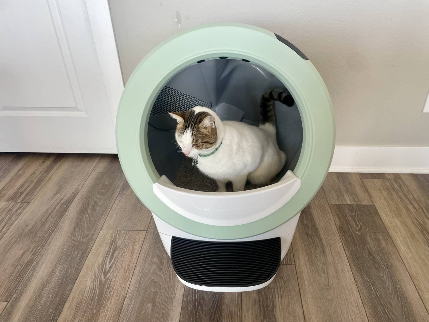 Litter-Robot 4 Review - cat using product at home