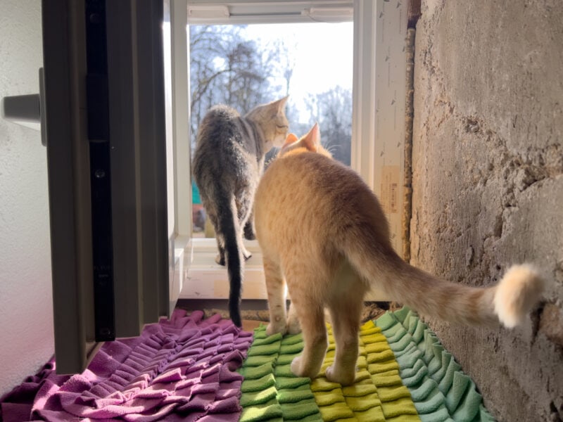 Minnie and Nara going out through the window
