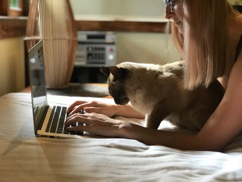 Nicole working on her laptop with Baby Cat