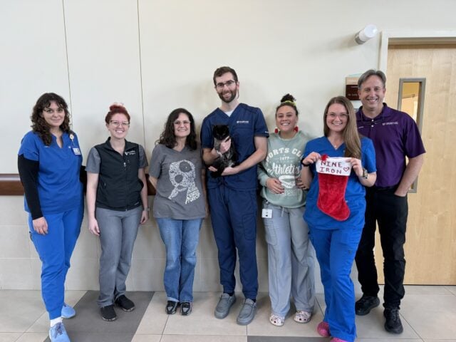 Nine Iron, held by Dr. John Hanlon, with members of his care team at UF’s Small Animal Hospital. Photo courtesy of Dr. Rachel Williams.