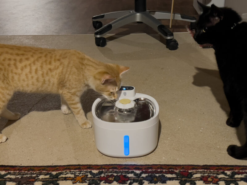 Nara drinking water from the fountain. Miki looking at the distance.