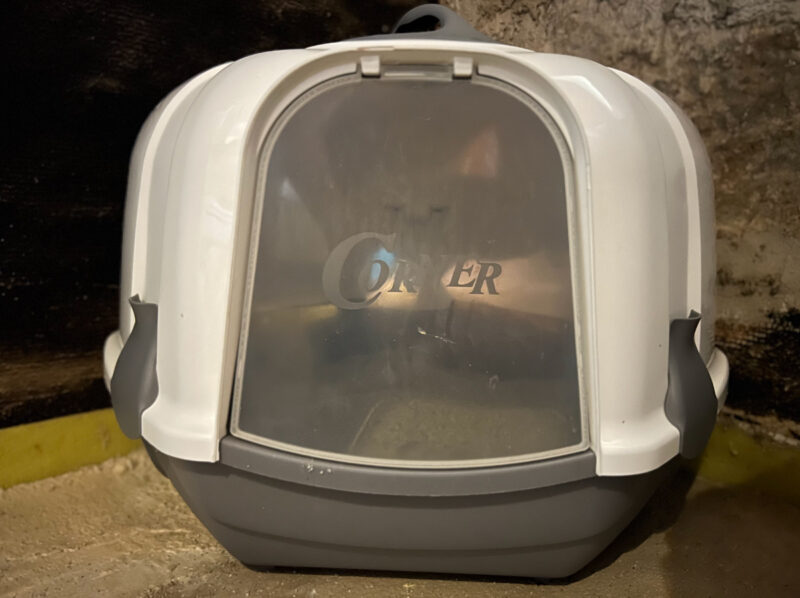 litter box