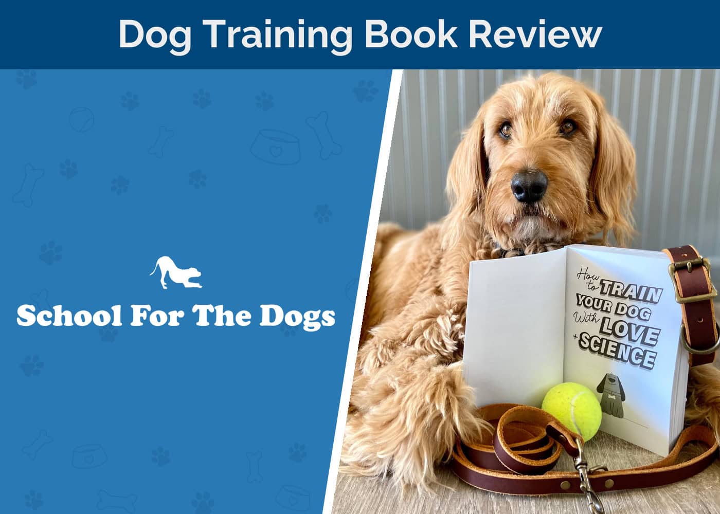 HEP_SAPR_Schools For the Dogs Dog Training Book