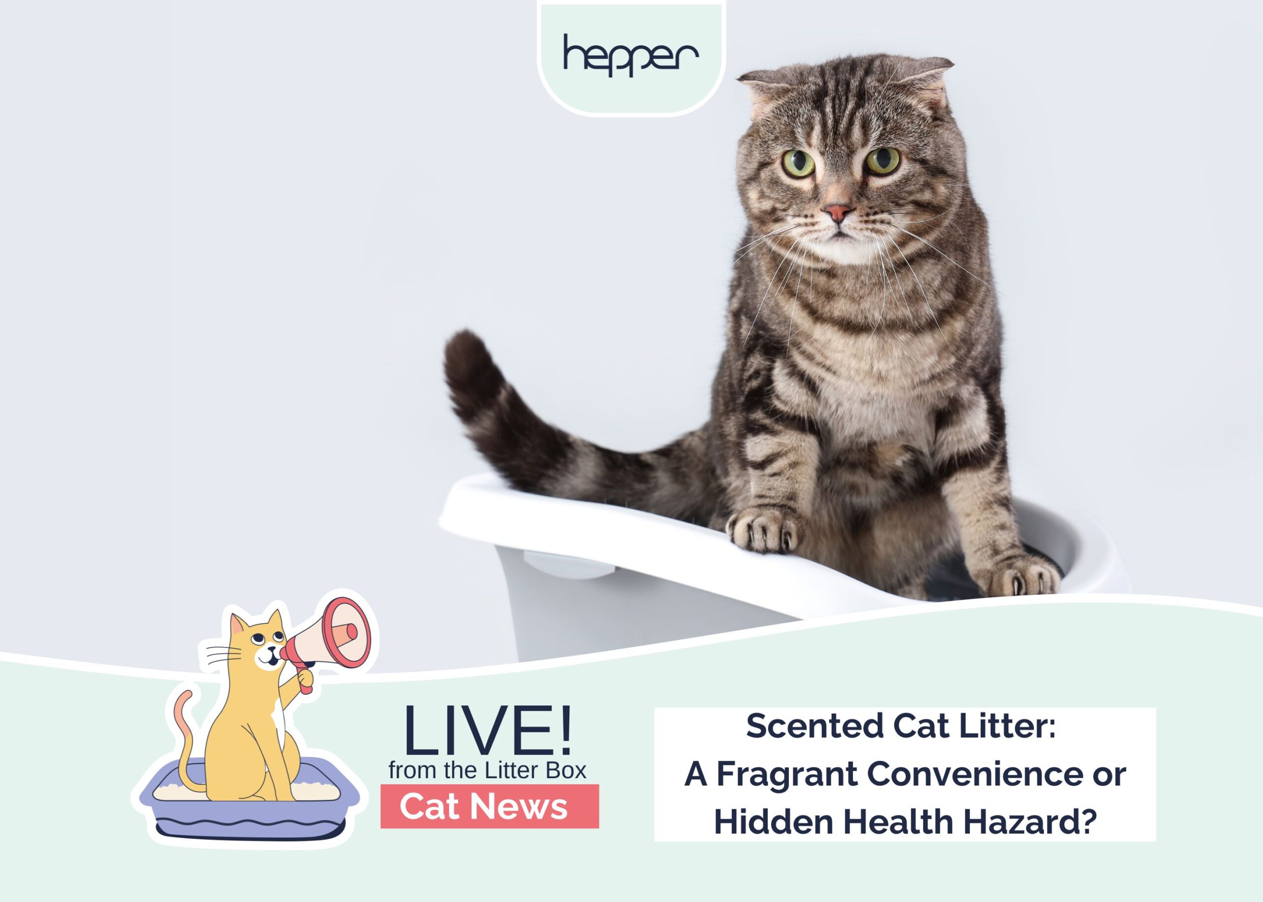 Scented Cat Litter Exposé