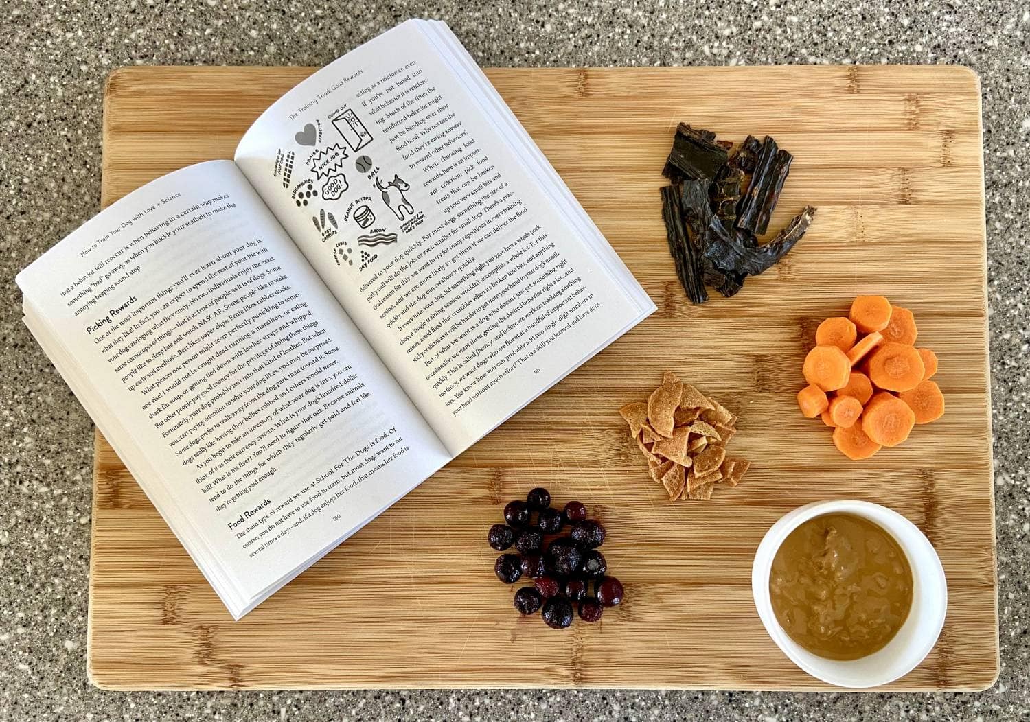How to Train Your Dog with Love + Science Book Review - food reward suggestions
