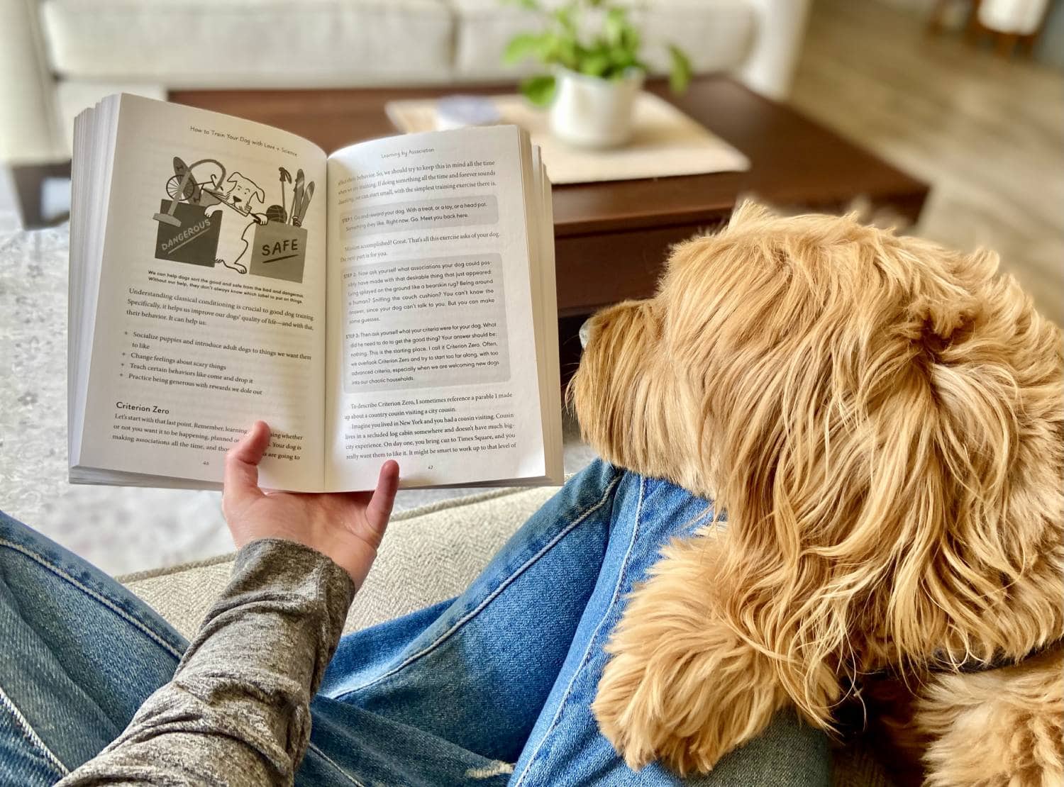 How to Train Your Dog with Love + Science Book Review - reading with Micah