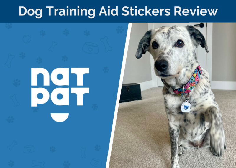 NATPAT Dog Training Aid Stickers Review - featured image