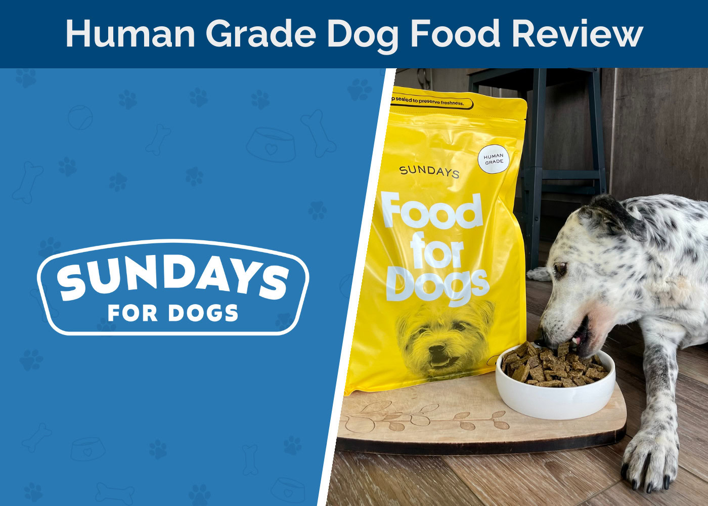 Sundays for Dogs Beef Recipe Review - featured image