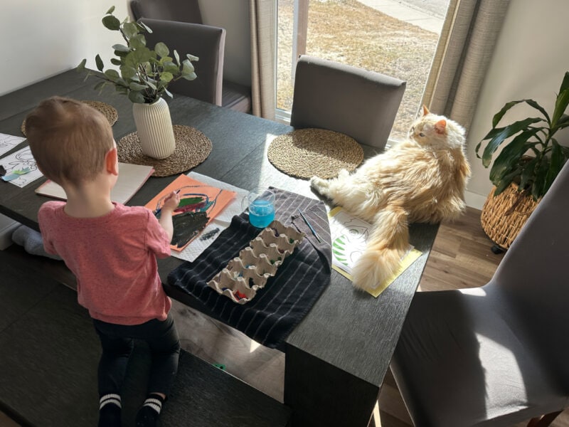 Amanda's son painting on the table with Blue on the side