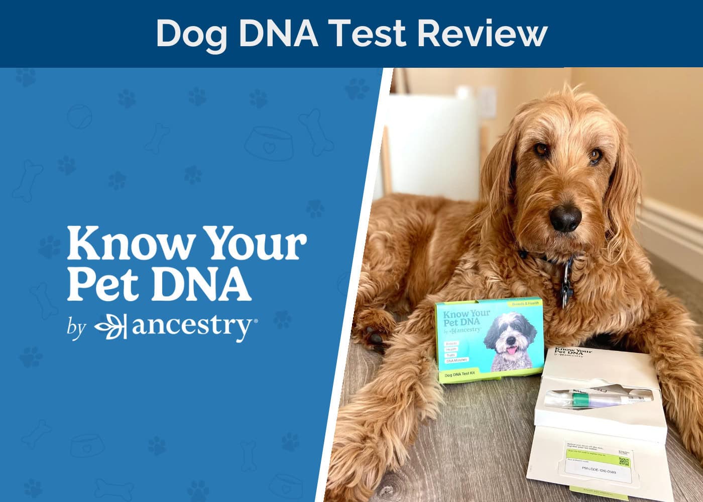 Ancestry Know Your Pet DNA Review - featured image