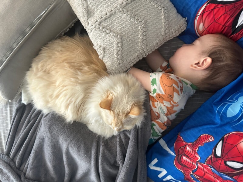 Blue as a nap manager