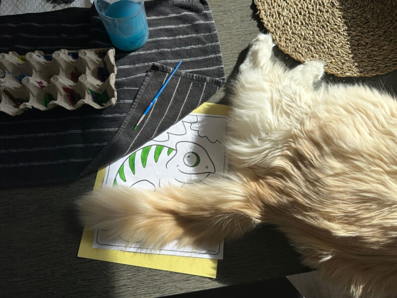 Blue lying on the table