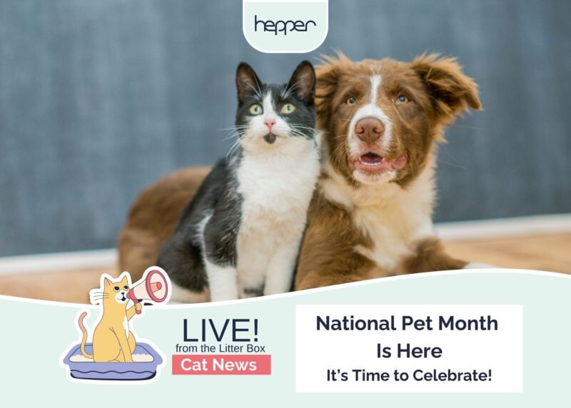 LFTLB National Pet Month 2025