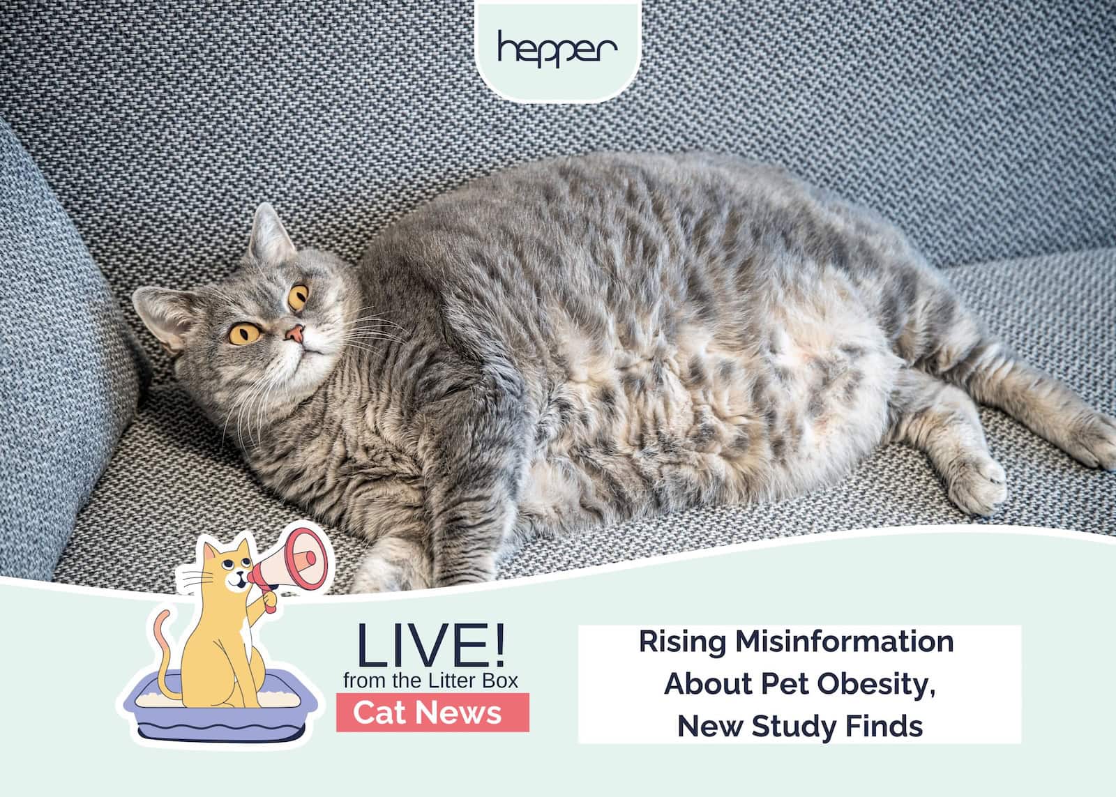 Weekly Mews Pet Obesity Study