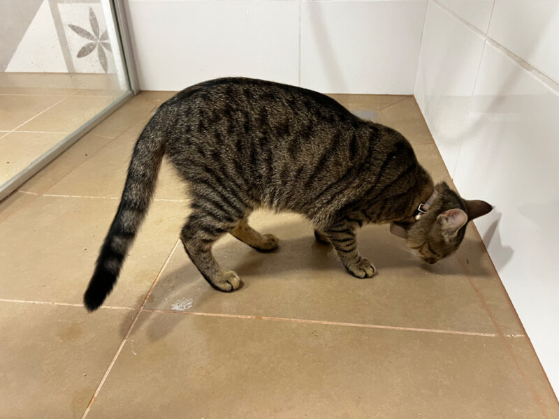 Minnie in the shower