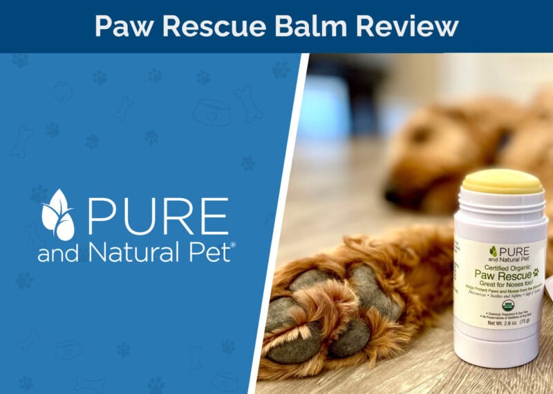 Pure and Natural Pet Paw Rescue Review - featured image