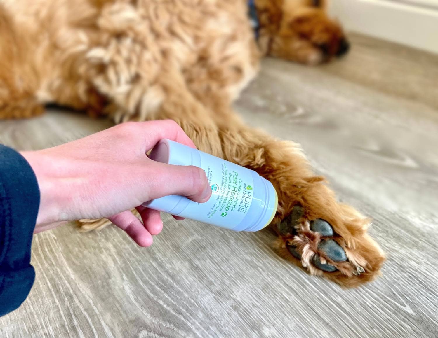 Pure and Natural Pet Paw Rescue Review - putting balm on Micah's paw