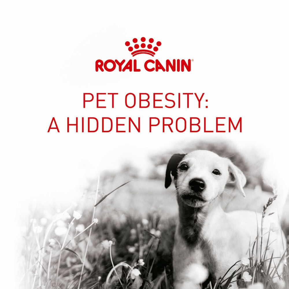 Royal Canin Pet Obesity