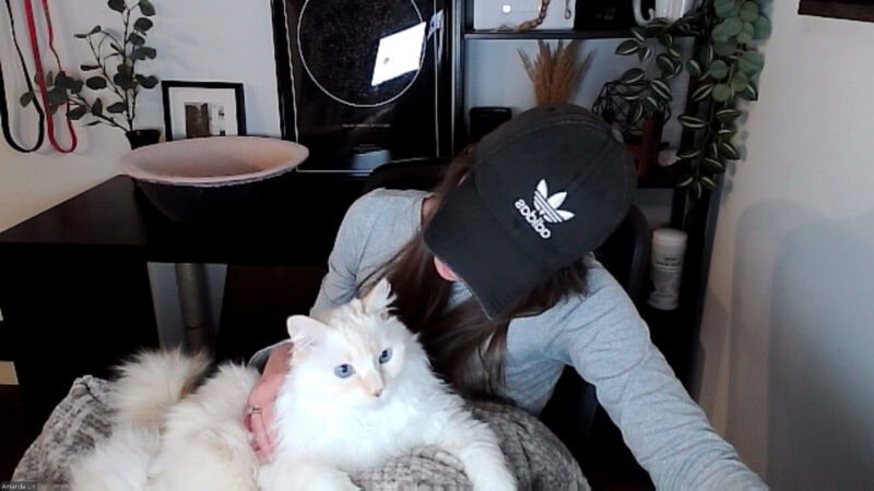Blue lying on Amanda's lap