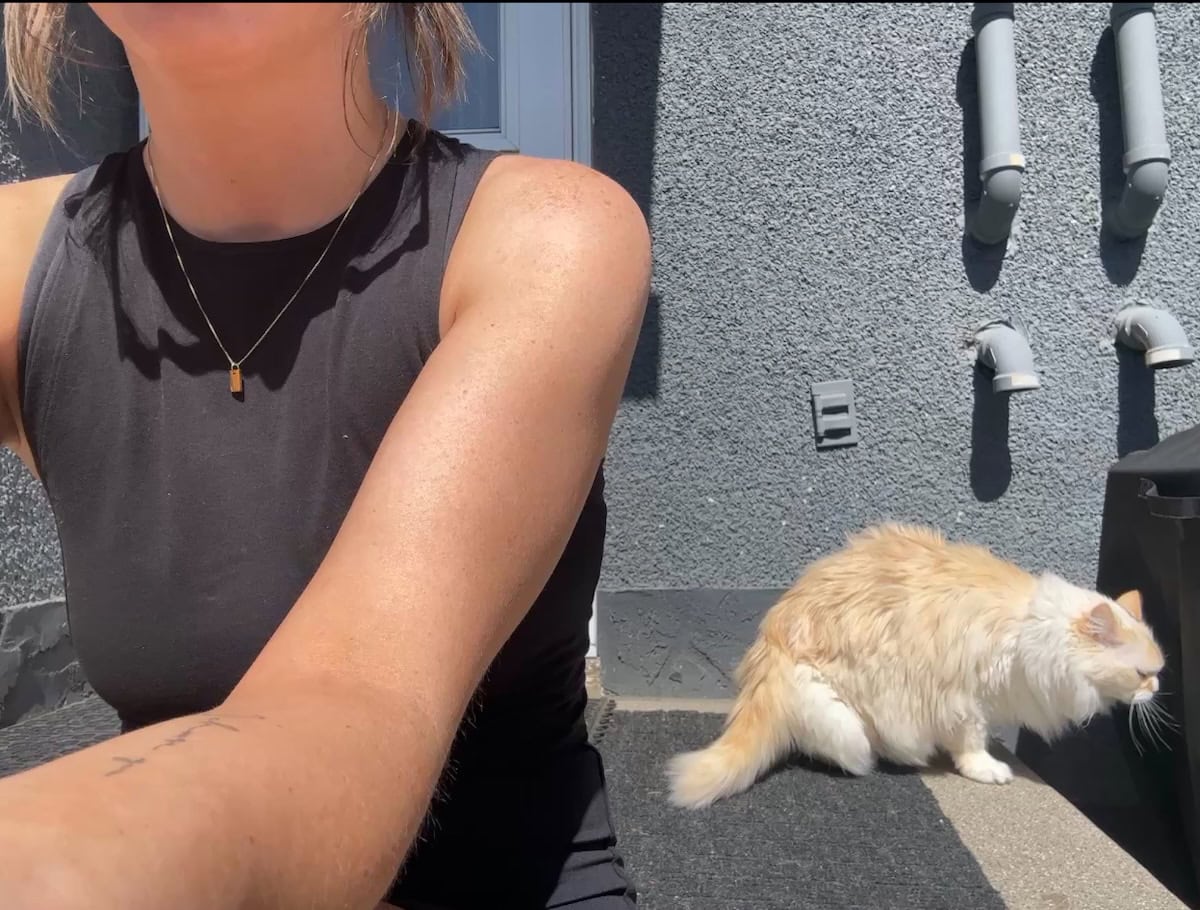Blue hanging out outside