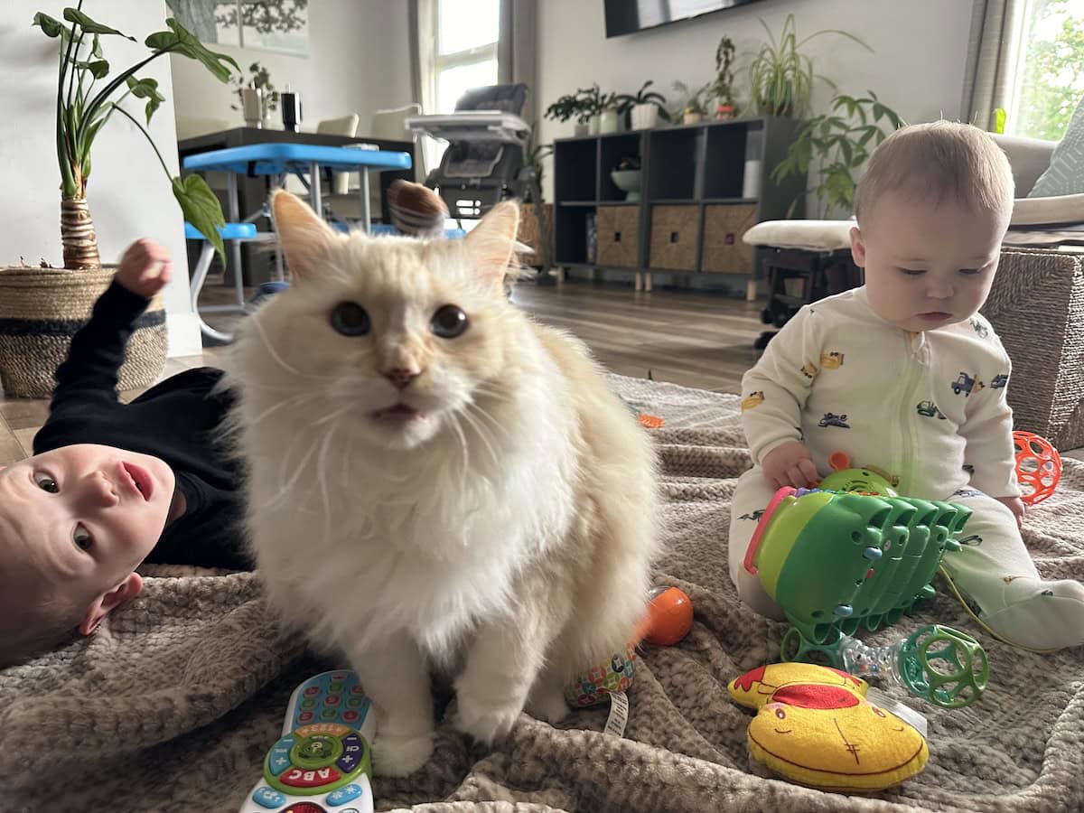 Blue with Amanda's kids
