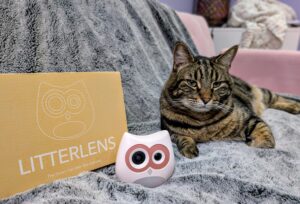 Peace of Mind with SiiPet LitterLens_ Our Expert’s Opinion Feature Image (1)